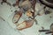 Ungersheim : Old and vintage wooden clogs in an old traditional Alsatian house at the Ecomuseum of Alsace