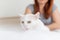 Unhappy white fluffy cat with its owner in the background. happy blurred woman sitting on the bed with her pet in the