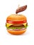 Unhealthy eating concept with hamburger like apple