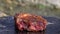 Unhealthy food, fatty succulent meat tenderloin in flavoring fried on hot stone at campfire in picnic party on open air