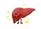 Unhealthy human liver character.