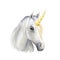 Unicorn digital art illustration isolated on white background. Legendary ancient mythological crature, fairy-tale