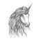 Unicorn fantastic horse sketch for tattoo design