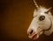 Unicorn funny plastic mask photograph