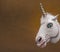 Unicorn funny plastic mask photograph