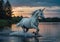 Unicorn Galloping through Sunset Waters