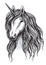 Unicorn horse sketch of magic animal with horn