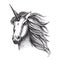 Unicorn horse vector sketch fairy tale animal head