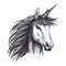 Unicorn mystic magic horse animal vector sketch