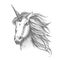 Unicorn mythic horse vector sketch