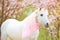 Unicorn. photo of a snow-white unicorn with a pink and white mane and tail in a spring flowering garden