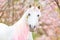 Unicorn. photo of a snow-white unicorn with a pink and white mane and tail in a spring flowering garden