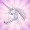 Unicorn profile portrait graphic vector illustration