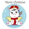 Unicorn with santa claus hat