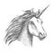 Unicorn vector sketch isolated head