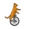 unicycle cat color sketch raster illustration