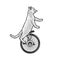 unicycle cat sketch vector illustration