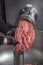 Unidentifiable butcher holding tray full of minced raw red meat leaving machine in food processing plant