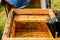Unidentified beekeeper examining wooden box