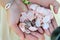 Unidentified bride holding pink petals and engagement rings, clo