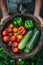 Unidentified chef harvesting ripe organic vegetables at a picturesque rural farm