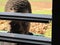Unidentified child peering through window of charity run school in Burkina Faso