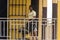 Unidentified Ghanaian woman walks by a broken armchair. People