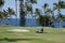 Unidentified golfers enjoy a game of golf