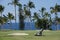 Unidentified golfers enjoy a game of golf