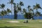 Unidentified golfers enjoy a game of golf