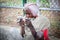 Unidentified homeless person begs on the street in Kathmandu, Ne