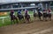 Unidentified horses and jockeys galloping in race at the Belgrade Hippodrome on Jun 19, 2016 in Belgrade, Serbia