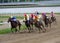 Unidentified horses and jockeys galloping in race at the Belgrade Hippodrome on Jun 19, 2016 in Belgrade, Serbia