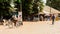 Unidentified local man rides a bicycle in a village in Guinea B