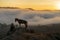 Unidentified local people or Bromo Horseman