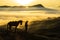 Unidentified local people or Bromo Horseman