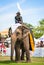 Unidentified mahout. Elephant polo games during the 2013 King\'s Cup Elephant Polo match on August 28, 2013 at Suriyothai Camp in