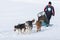 Unidentified man participating in the Free Dog Sled Racing Contest