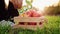 An unidentified man puts an eco inscription on box with fresh tasty red apples