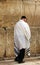 Unidentified old man in tefillin praying at the Wailing wall (Western wall)