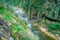 An unidentified people crossing a brindge and walking in natural walkway Karangahake Gorge, river flowing through