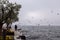 Unidentified people feed seagulls on the shores of Lake Garda on a foggy winter day