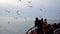 Unidentified people feeding seagulls with biscuits from a ferry, istanbul, Turkey