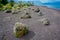 Unidentified people walking in the shore of the Lake Todos Los Santos, Region in Chile