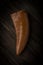 Unidentified Raptor Tooth fossil on dark wood background