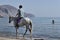 Unidentified rider on a horse on the beach. Horseback riding in