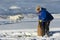 Unidentified Saami man brings food to reindeers in deep snow winter, Tromso, Norway.