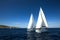 Unidentified sailboats participate in sailing regatta