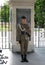 Unidentified Soldier Guarding the tomb of the unknown soldier