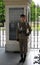 Unidentified Soldier Guarding the tomb of the unknown soldier